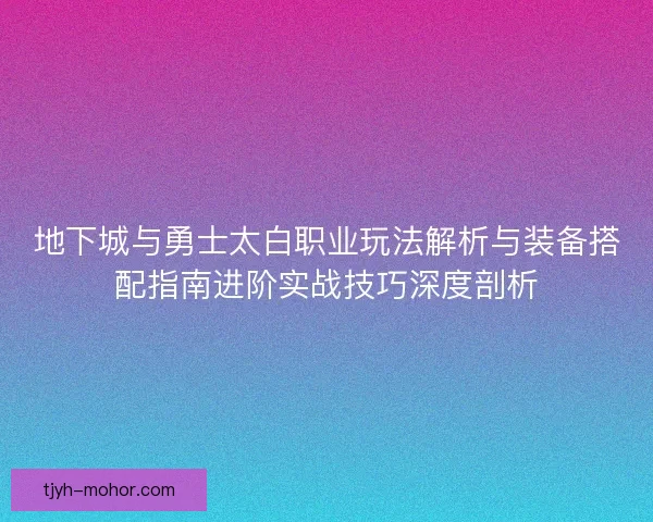 地下城与勇士太白职业玩法解析与装备搭配指南进阶实战技巧深度剖析