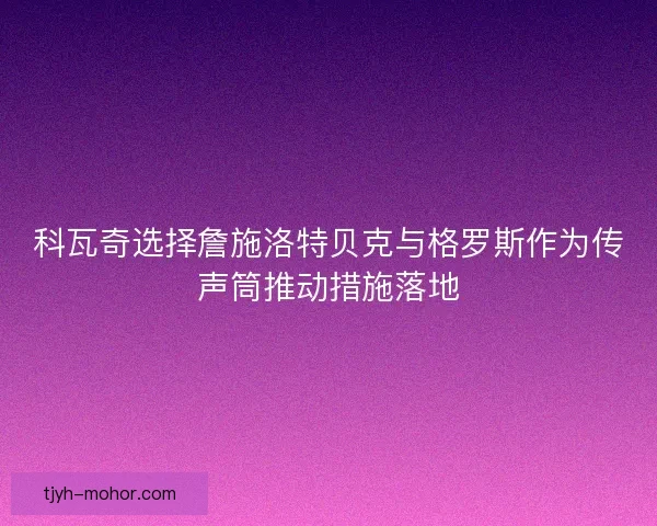 科瓦奇选择詹施洛特贝克与格罗斯作为传声筒推动措施落地