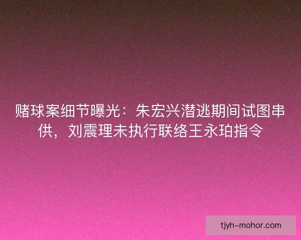 赌球案细节曝光：朱宏兴潜逃期间试图串供，刘震理未执行联络王永珀指令