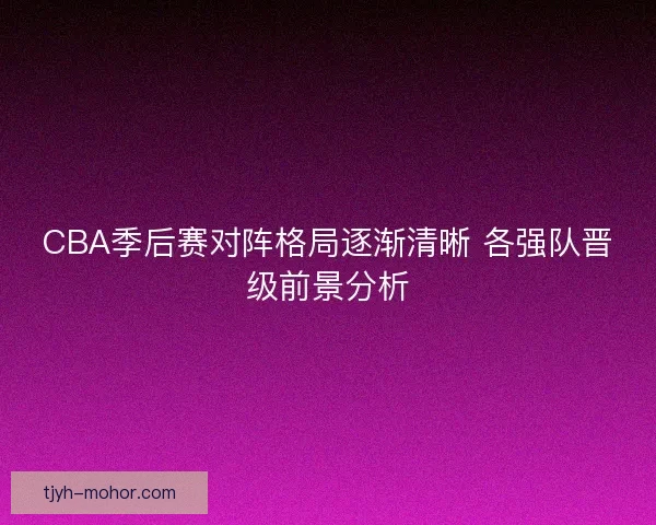 CBA季后赛对阵格局逐渐清晰 各强队晋级前景分析 CBA季后赛对阵格局逐渐清晰 各强队晋级前景分析