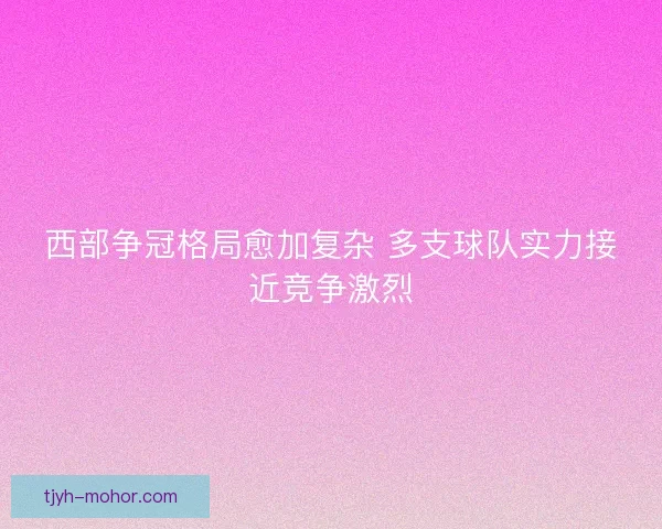 西部争冠格局愈加复杂 多支球队实力接近竞争激烈