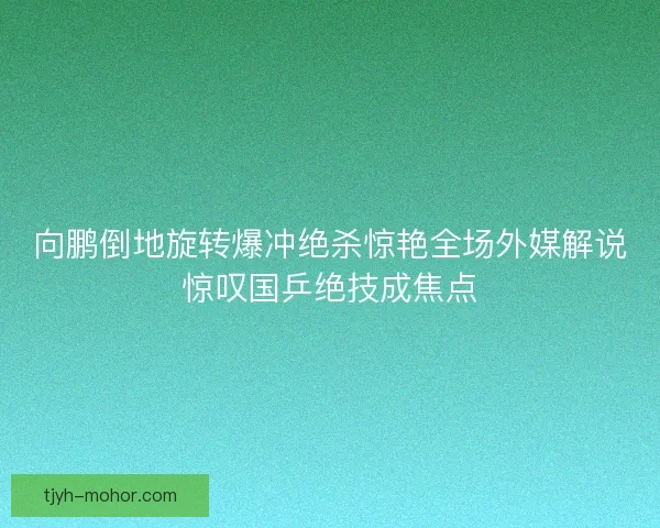 向鹏倒地旋转爆冲绝杀惊艳全场外媒解说惊叹国乒绝技成焦点 向鹏倒地旋转爆冲绝杀惊艳全场外媒解说惊叹国乒绝技成焦点