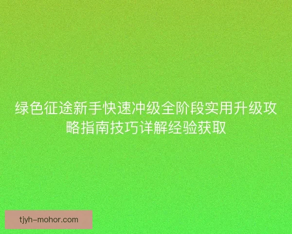 绿色征途新手快速冲级全阶段实用升级攻略指南技巧详解经验获取