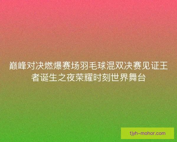 巅峰对决燃爆赛场羽毛球混双决赛见证王者诞生之夜荣耀时刻世界舞台